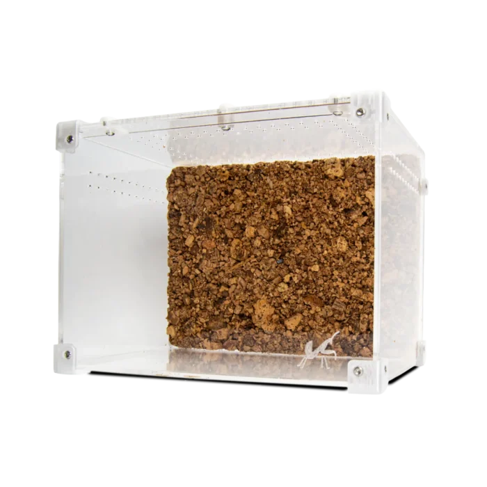 BugBox Midi Top Terrarie