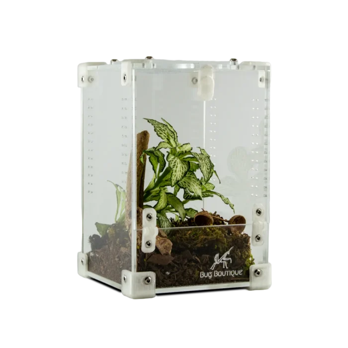 BugBox Mini Mesh