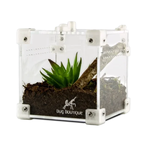 BugBox Nano