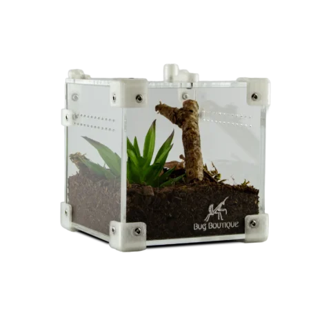 BugBox Nano