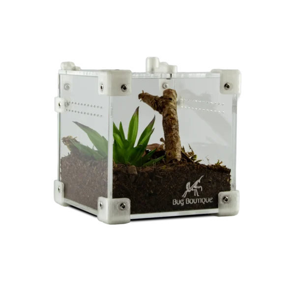 BugBox Nano – terrarie i akryl