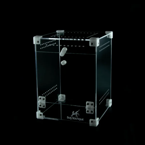 BugBox Midi – terrarie i akryl, billede 3