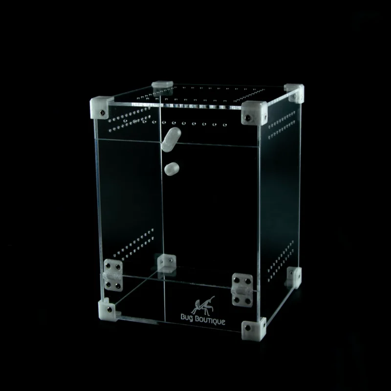 BugBox Midi – terrarie i akryl, billede 3