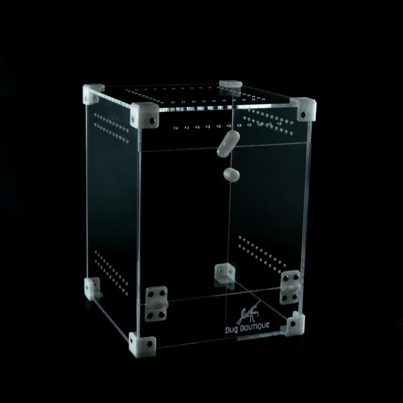 BugBox Midi – terrarie i akryl, billede 4