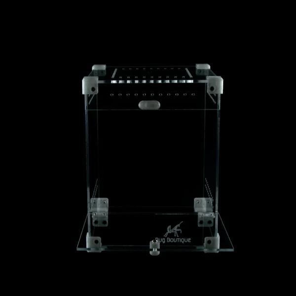 BugBox Midi – terrarie i akryl, billede 5