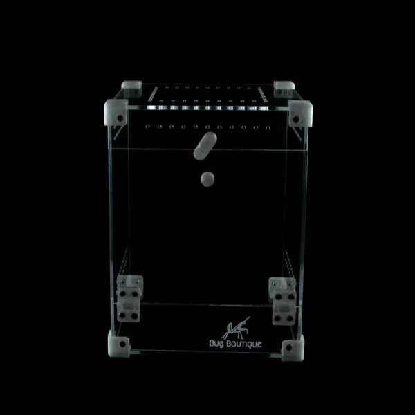 BugBox Midi – terrarie i akryl, billede 6