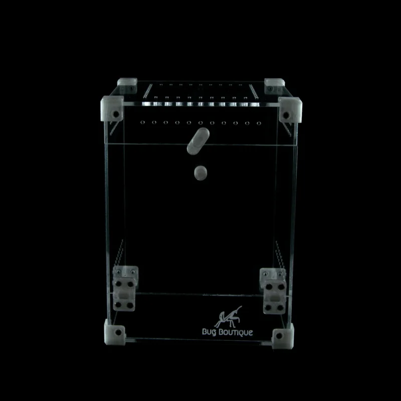 BugBox Midi – terrarie i akryl, billede 6