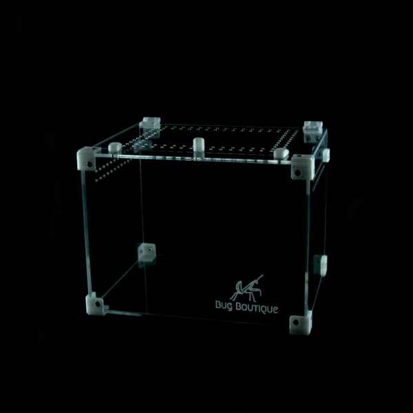 BugBox Midi Top – terrarie i akryl, billede 4