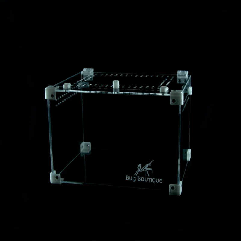 BugBox Midi Top – terrarie i akryl, billede 4