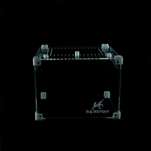 BugBox Midi Top – terrarie i akryl, billede 5