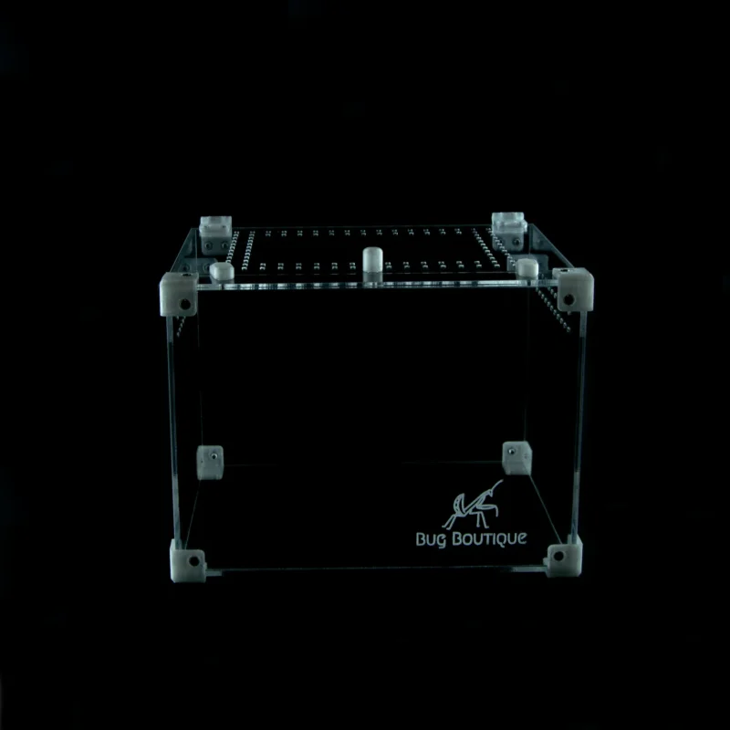 BugBox Midi Top – terrarie i akryl, billede 5