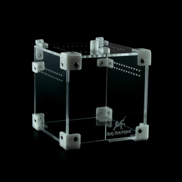 BugBox Nano – terrarie i akryl, billede 6