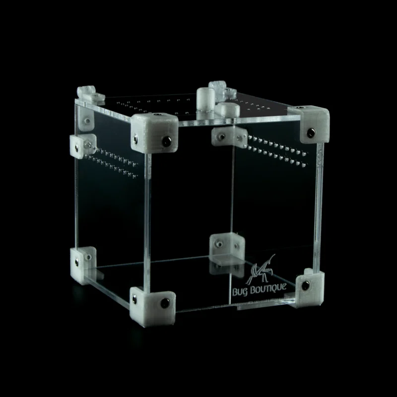 BugBox Nano – terrarie i akryl, billede 6