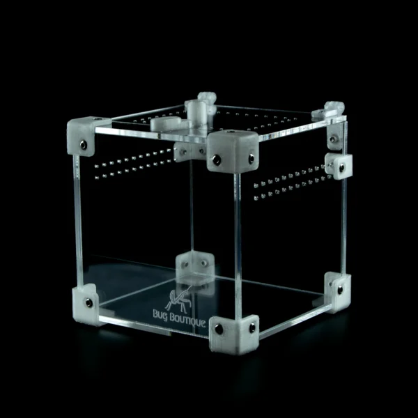BugBox Nano – terrarie i akryl, billede 4
