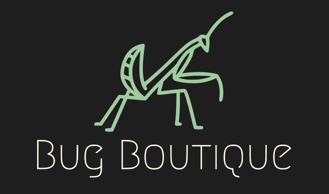 Terrarier | Bug Boutique