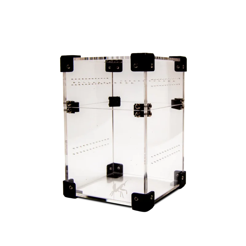 BugBox Mini Flex | Bug Boutique