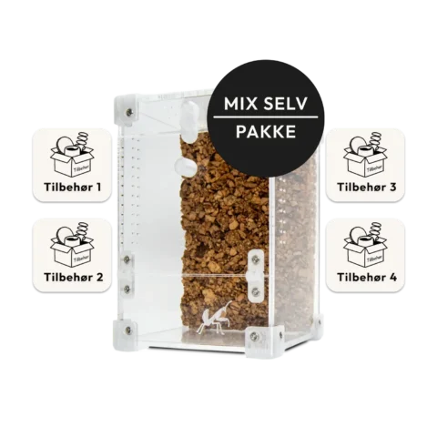 Mini Mix