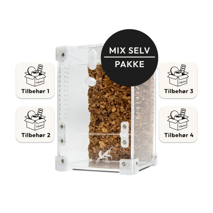 BugBox Mini terrarie bland-selv pakke
