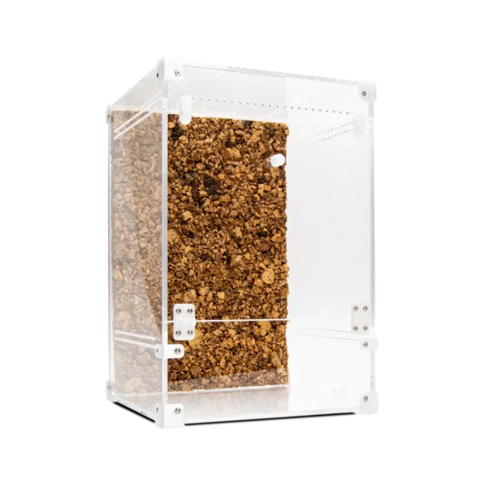 BugBox Maxi Terrarie