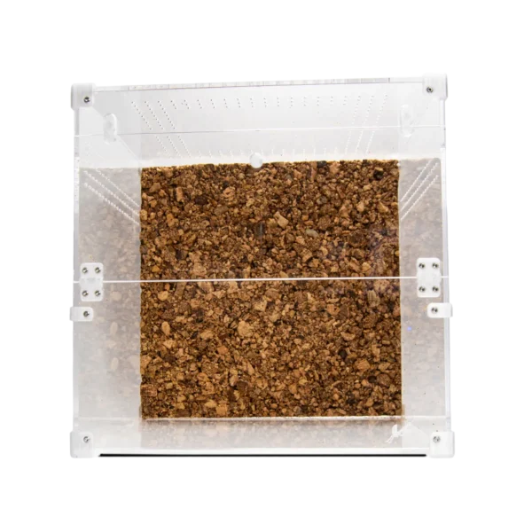 BugBox Cube Terrarie Top