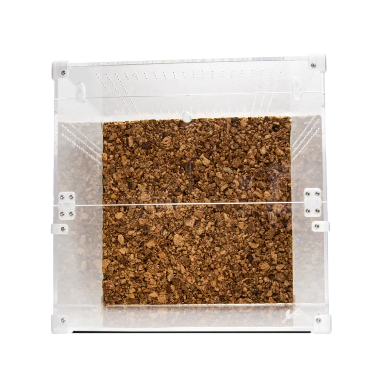 BugBox Cube Terrarie Top