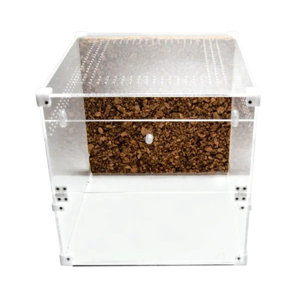 BugBox Cube Terrarie Top