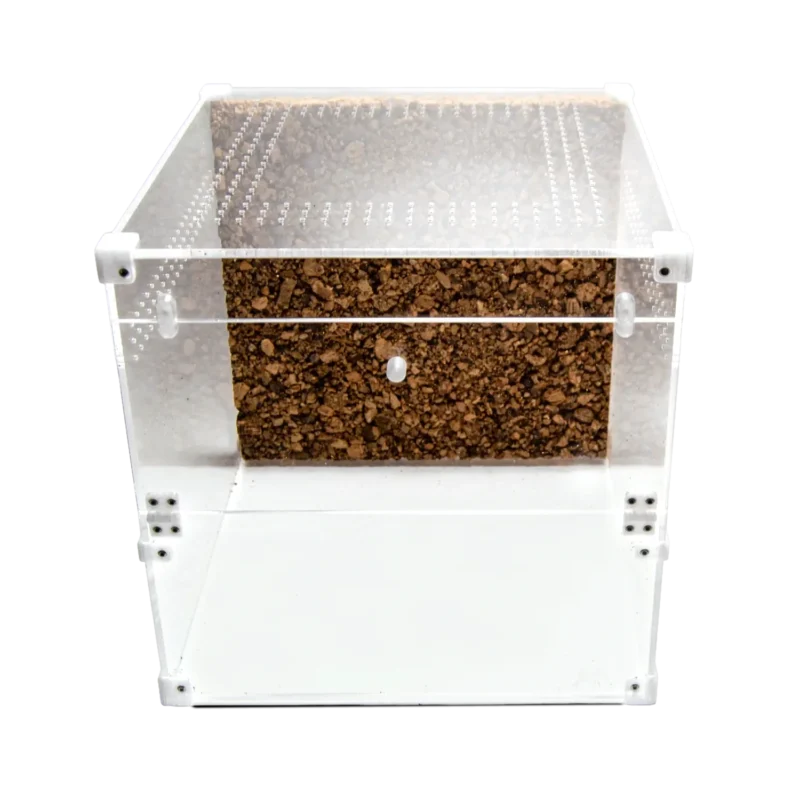 BugBox Cube Terrarie Top