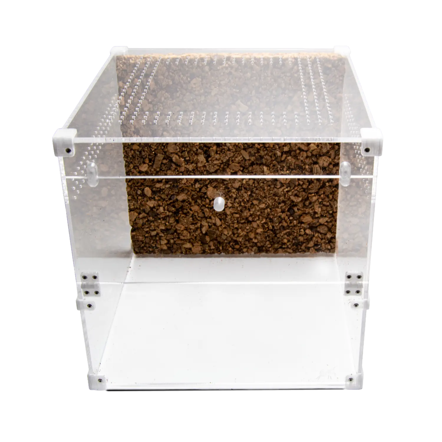 BugBox Cube Terrarie Top