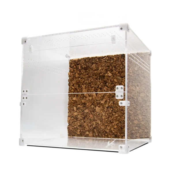 BugBox Cube Terrarie Front