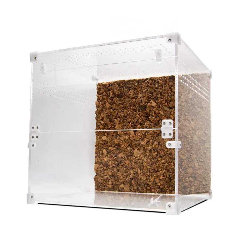 BugBox Cube Terrarie Front