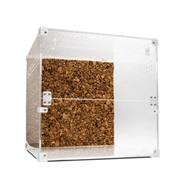 BugBox Cube Terrarie