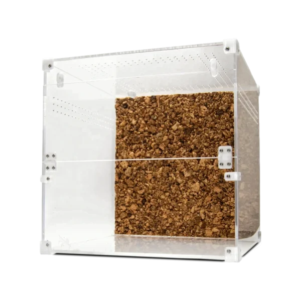 BugBox Cube Terrarie