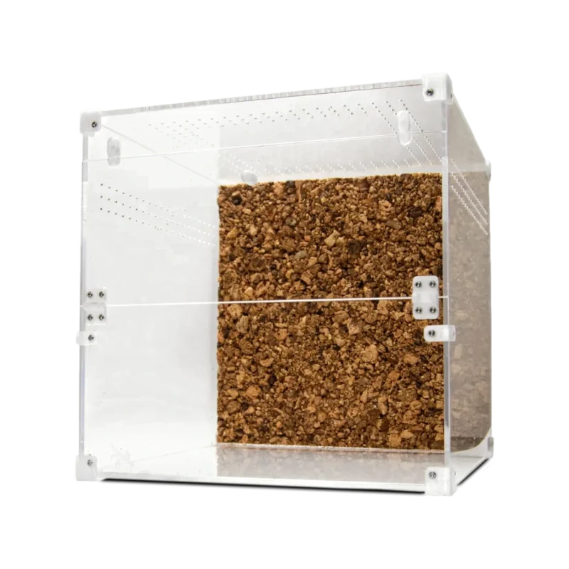 BugBox Cube Terrarie
