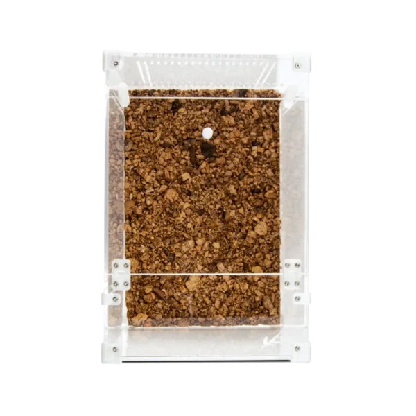 BugBox Maxi Terrarie