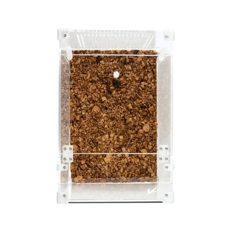 BugBox Maxi Terrarie