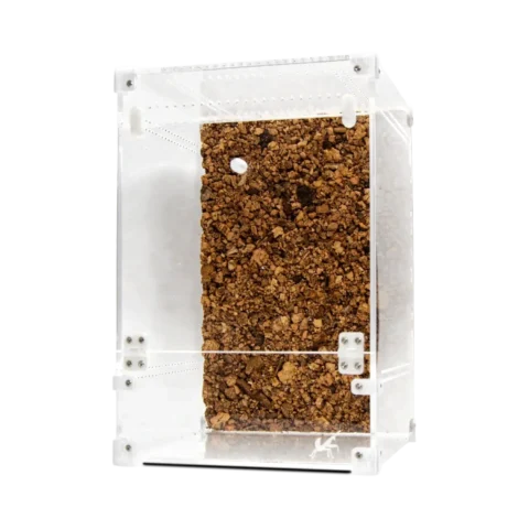 BugBox Maxi