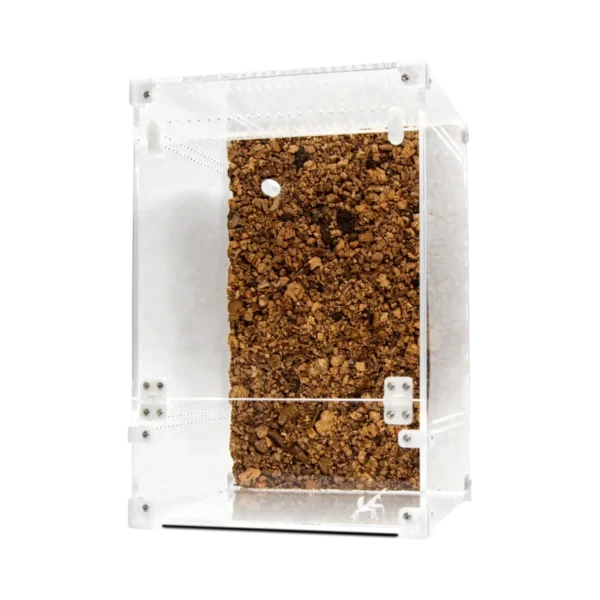 BugBox Maxi Terrarie