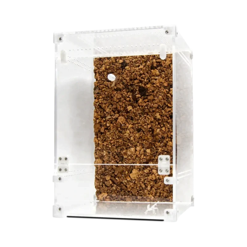 BugBox Maxi Terrarie