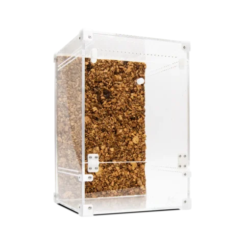 BugBox Maxi