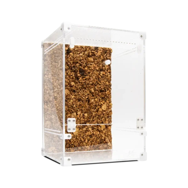 BugBox Maxi Terrarie