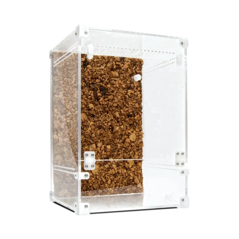 BugBox Maxi Terrarie