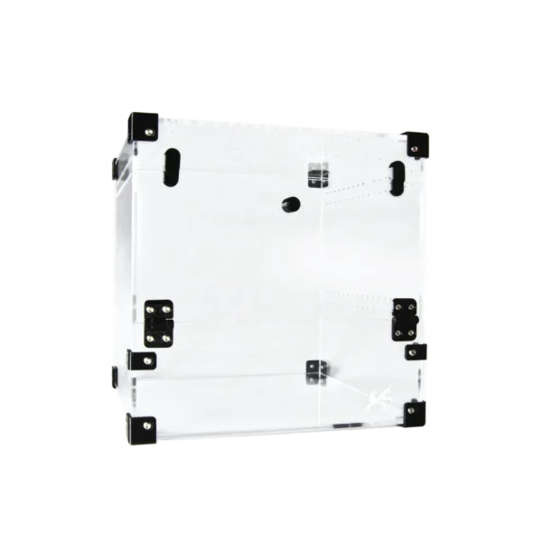 BugBox Midi Cube