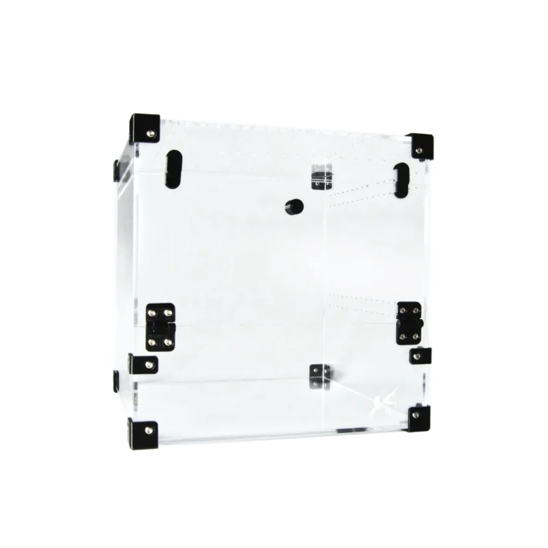 BugBox Midi Cube