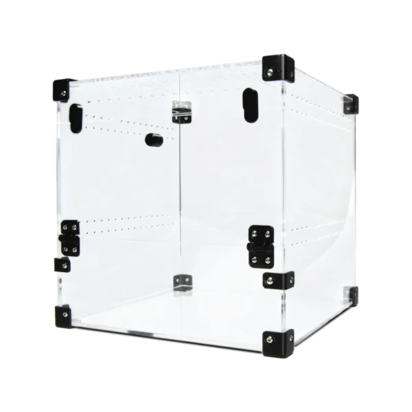 BugBox Midi Cube