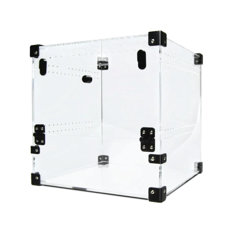 BugBox Midi Cube