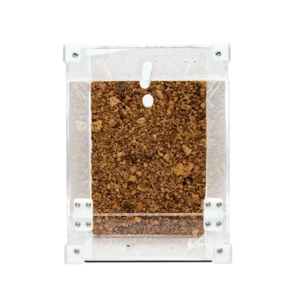 Midi Front Terrarie