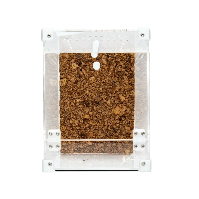 Midi Front Terrarie