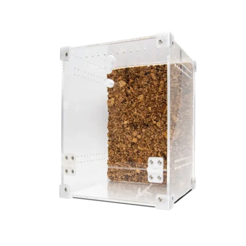 BugBox Midi