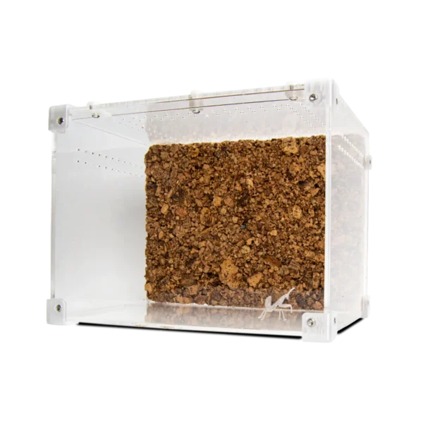 BugBox Midi Top Terrarie
