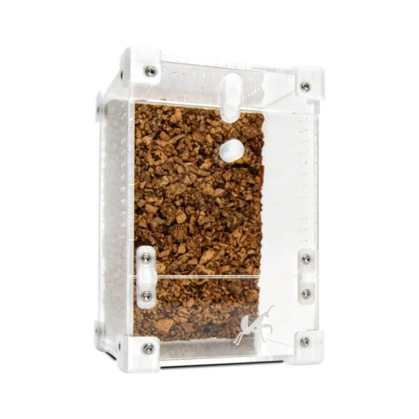 BugBox Mini vinklet